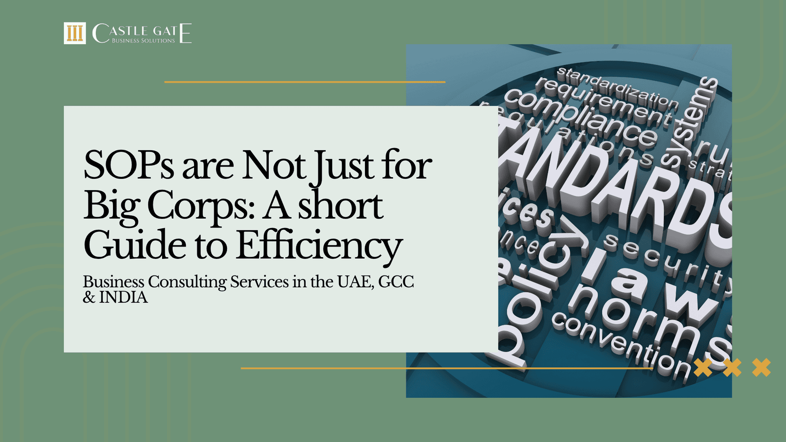 SOPs are Not Just for Big Corps: A short Guide to Efficiency