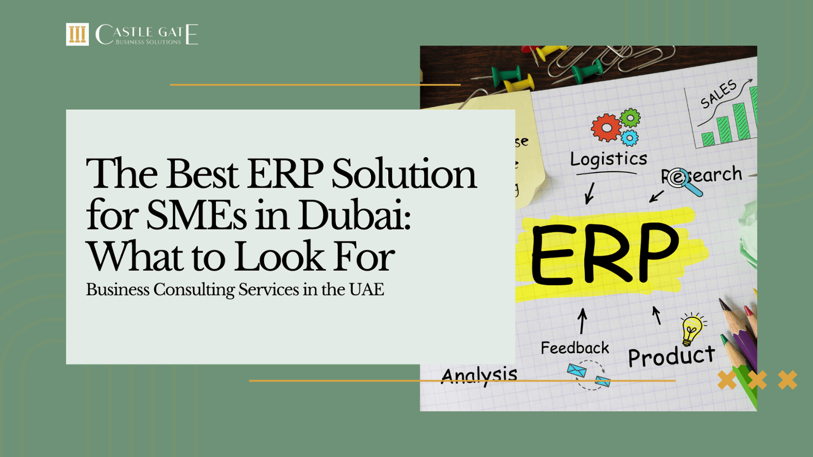 The Best ERP Solution for SMEs in Dubai: What to Look For